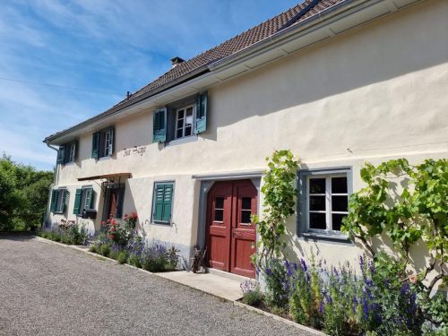 umbauten-renovationen-39